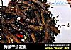 梅菜干炒泥鳅的做法