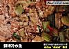 鲜烤冷水鱼的做法