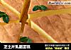 芝士片乳酪蛋糕的做法
