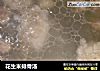 花生米排骨汤的做法