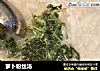 萝卜粉丝汤的做法