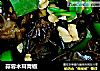 蒜蓉木耳青椒的做法