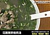 花肠猪肝瘦肉汤的做法