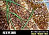 肉末蒸豆腐的做法