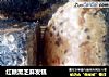 红糖黑芝麻发糕的做法