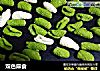 双色麻食的做法