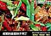 闺蜜的最爱辣子鸡丁的做法