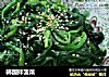 韩国拌菠菜的做法