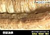 香酥油条的做法