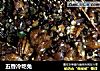 五香冷吃兔的做法