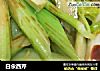白汆西芹的做法