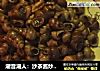 潮音潮人：沙茶酱炒田螺的做法