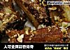 人可金牌蒜香排骨的做法