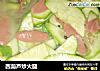 西葫芦炒火腿的做法