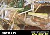 鲜汁鱼下巴的做法