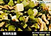 雪菜肉丝面的做法