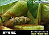荆芥拌黄瓜的做法