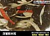洋葱拌木耳的做法