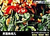 蒸面条阔儿的做法