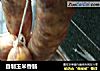 自制玉米香肠的做法