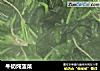 牛奶炖菠菜的做法