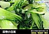 蒜香小白菜的做法
