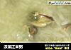 淡菜江米粥的做法