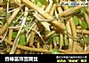香椿苗拌豆腐丝的做法