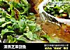 清蒸芝麻剑鱼的做法