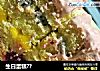 生日蛋糕??的做法