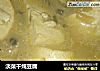 淡菜干炖豆腐的做法
