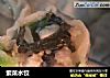 紫菜水饺的做法