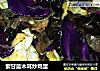 紫甘蓝木耳炒鸡蛋的做法