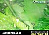 蒜蓉炒水东芥菜的做法