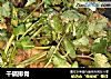 干锅排骨的做法