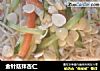 金针菇拌杏仁的做法