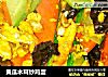 黄瓜木耳炒鸡蛋的做法