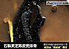 石斛灵芝陈皮煲排骨的做法