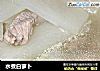 水煮白萝卜的做法