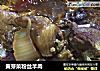 黄芽菜粉丝羊肉的做法