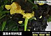 菠菜木耳炒鸡蛋的做法