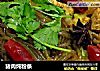 猪肉炖粉条的做法