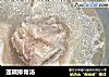 莲藕排骨汤的做法