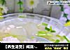 【养生汤煲】闽菜-鸳鸯冬瓜丸子汤的做法