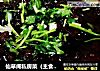 仙草阁私房菜（主食厨房）--腊月初四先静心素丸子炸酱的做法