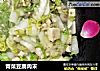 青菜豆腐肉末的做法