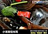 小米辣炝木耳的做法