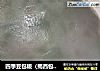 四季豆包粄（揭西包粄）的做法