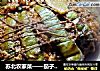 苏北农家菜——茄子镶肉的做法