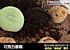 巧克力慕斯的做法